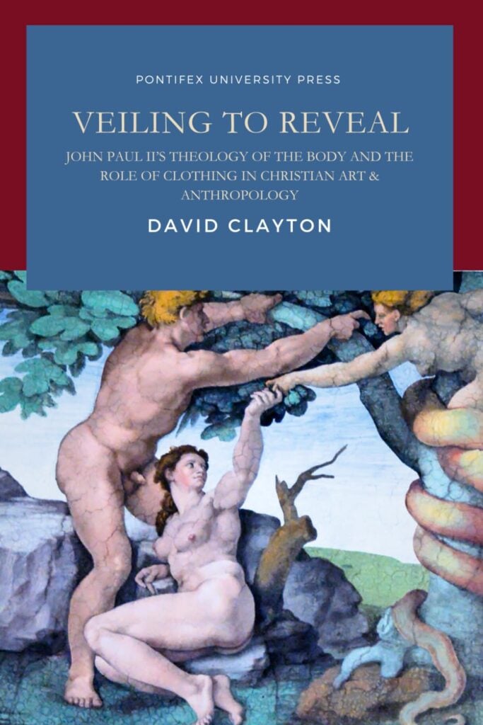 Veiling to Reveal book cover by David Clayton
